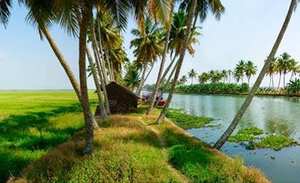 alleppeyhouseboat packages